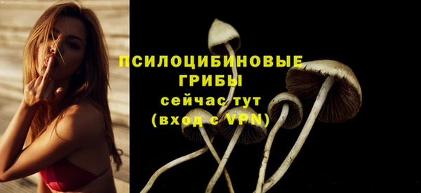 Альфа ПВП Арсеньев