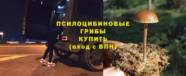 соль ск Протвино