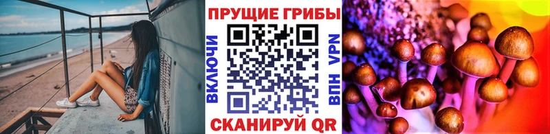 продажа наркотиков  Ступино  Псилоцибиновые грибы мухоморы 